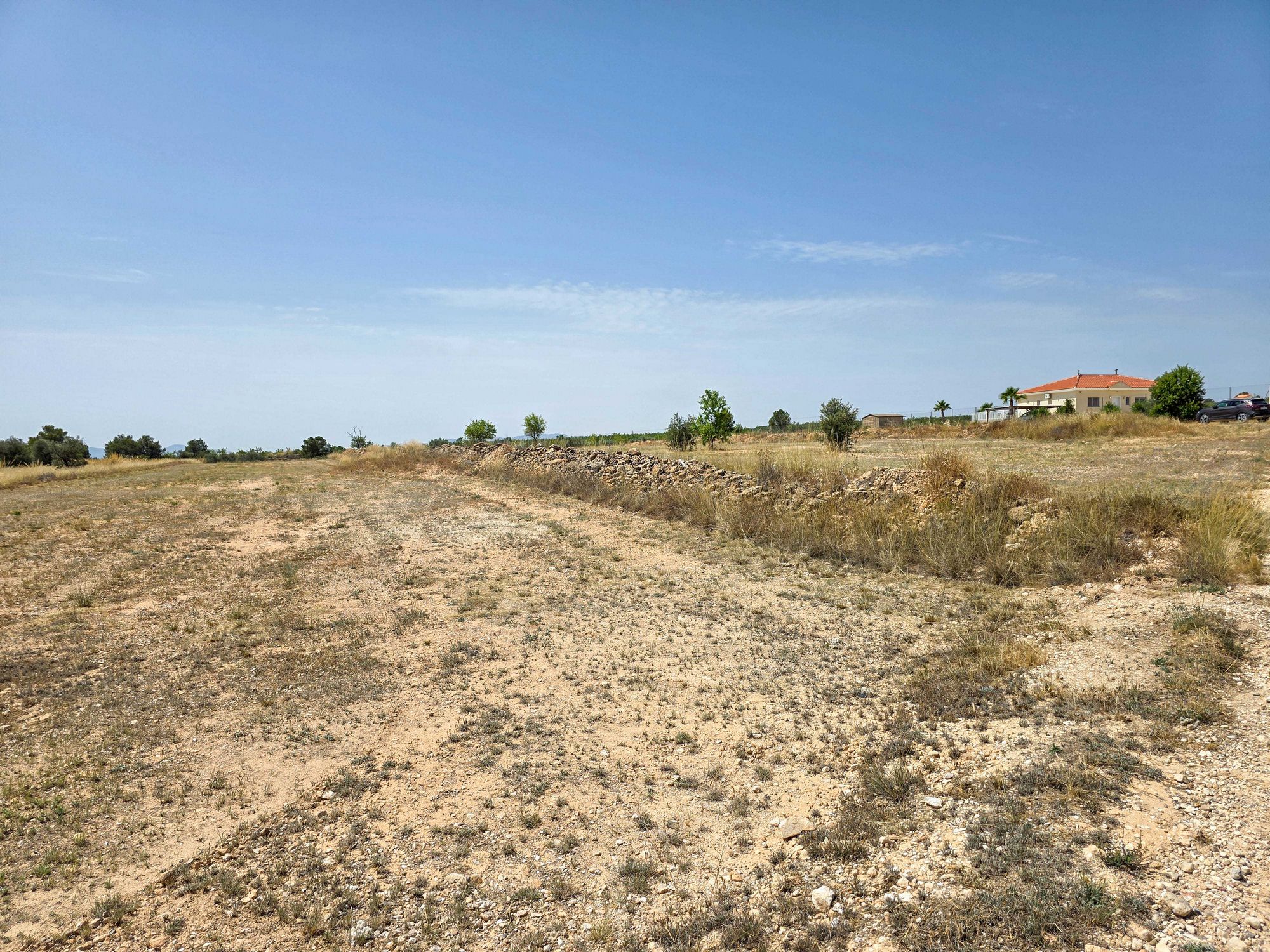 Terrain Pinoso Alicante intérieur Espagne