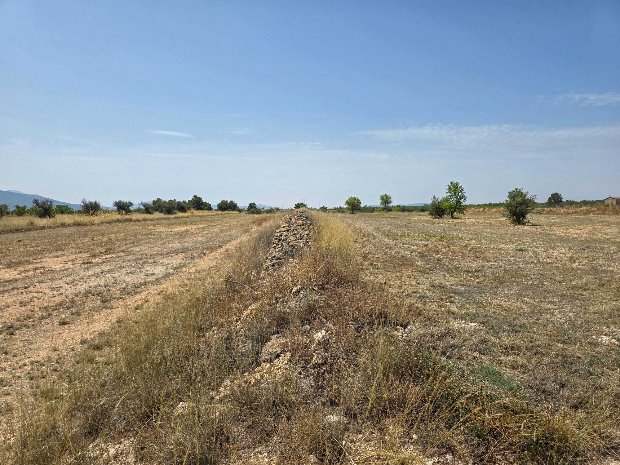Terrain Pinoso Alicante intérieur Espagne