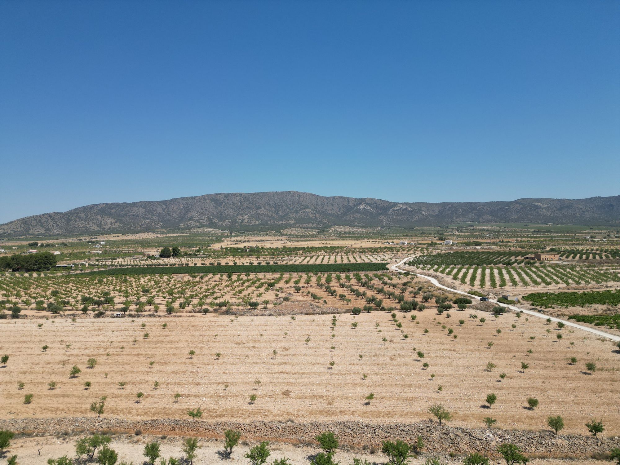 Land in Pinoso