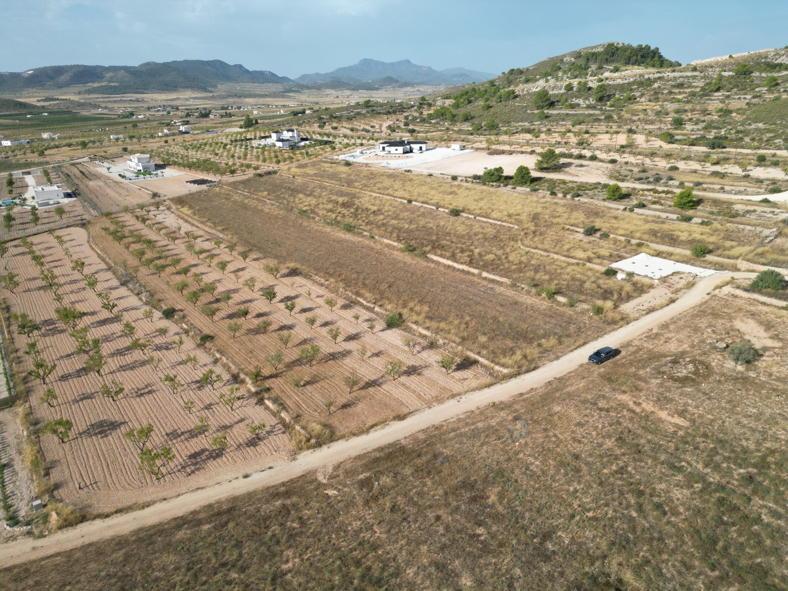Land Pinoso Alicante inland Spain